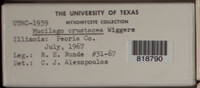 Image Associated With the Occurence